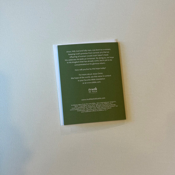 Christian Bible Verse Christmas Card proclaiming the hope Jesus Christ has brought to the world in his birth, life, death, and resurrection. 4.25 x 5.5 inch Christmas Greeting Card featuring Matthew 1:21 from the New International Version of the Holy Bible, printed on Neenah Royal Sundance Cover (felt finish). Blank in the middle, additional devotional thought on the back, white envelope. Only available for sale in the United States.