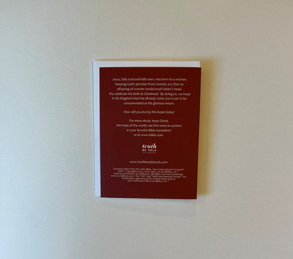 Christian Bible Verse Christmas Card proclaiming the hope Jesus Christ has brought to the world in his birth, life, death, and resurrection. 4.25 x 5.5 inch Christmas Greeting Card featuring Luke 2:10-11 from the New International Version of the Holy Bible, printed on Neenah Royal Sundance Cover (felt finish). Blank in the middle, additional devotional thought on the back, white envelope. Only available for sale in the United States.